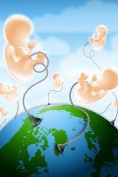 5 Checks before Choosing your Cord Blood Bank