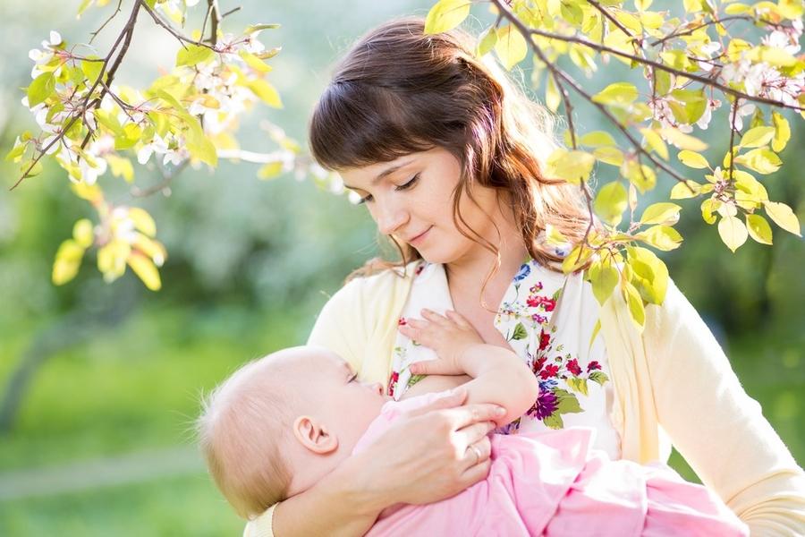 The Basics of Breastfeeding