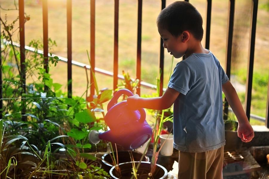10 Things To Teach Your Children On Protecting The Environment