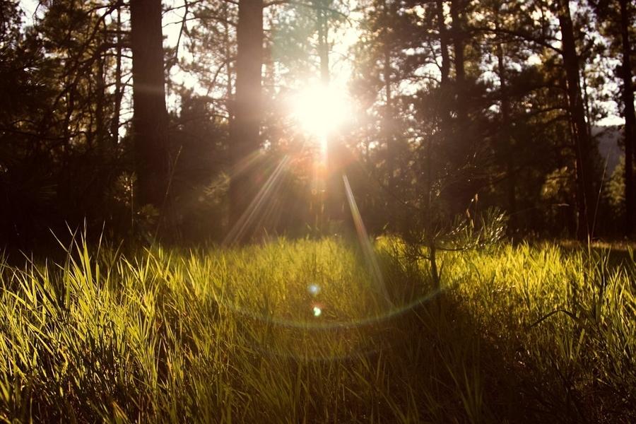 Vitamin D Requirements In Children