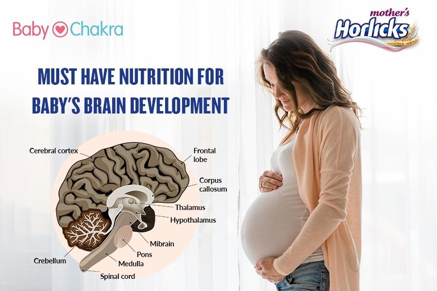 An Ultimate Nutrition Guide For Baby&#8217;s Brain Development