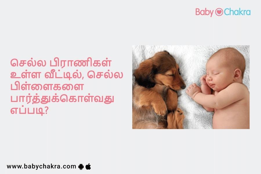 செல்ல பிராணிகள் உள்ள வீட்டில், செல்ல பிள்ளைகளை பார்த்துக்கொள்வது எப்படி?