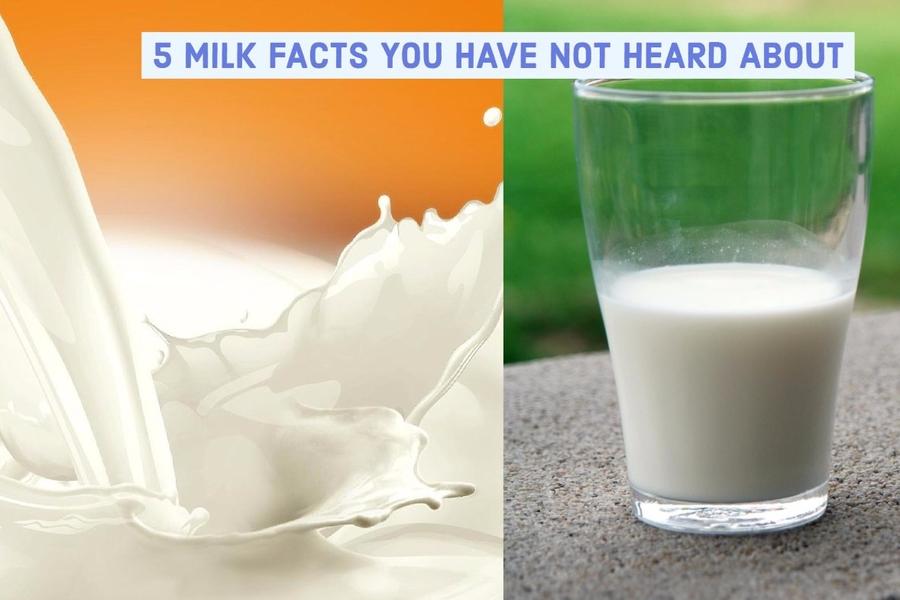 After a Year of Research &amp; Debate, Here’s Why I Gave Up Milk!