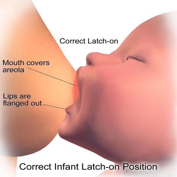 Breastfeeding Is All About Latching