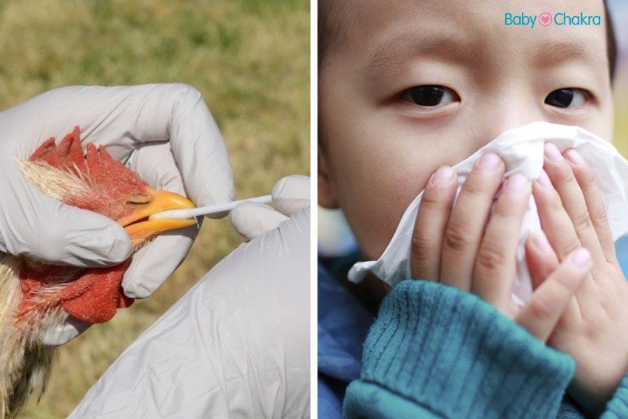 Bird Flu : बच्चों में बर्ड फ्लू के लक्षण क्या होते हैं? बर्ड फ्लू से बचने के उपाय।