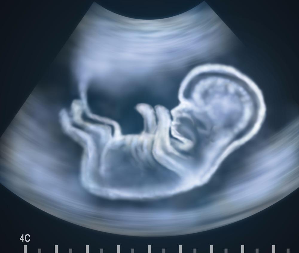 How Your Baby Grows Inside You: Week 1