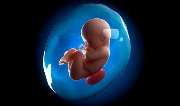 Amniotic Fluid Index: An Important Pregnancy Health Tool