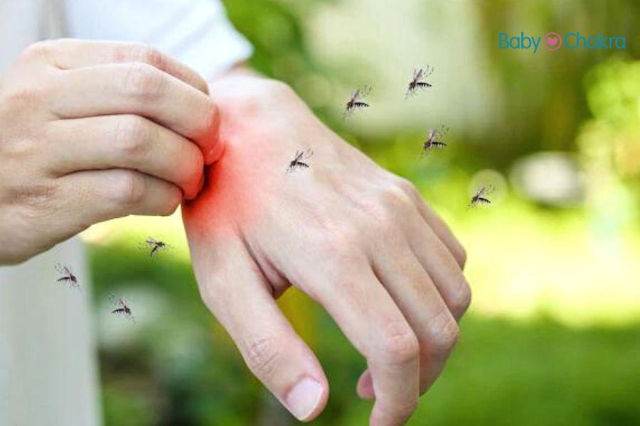 मच्छरों से बचने के आसान तरीके व घरेलू उपचार