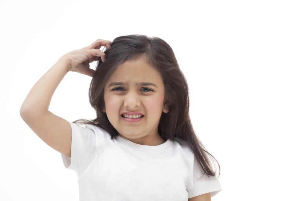 Head Lice All You Need To Know Xyz