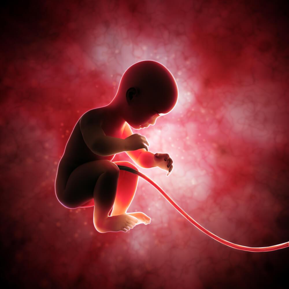 Your Babys Umbilical Cord Is The Lifeline Of Your Family