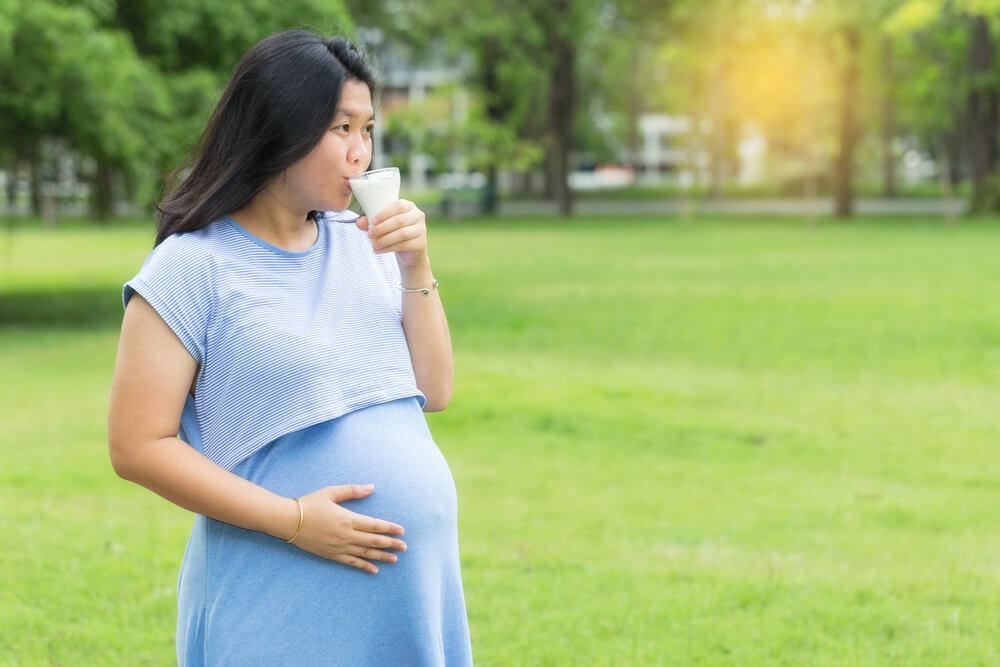 4 Best Protein Powders For Pregnant Women