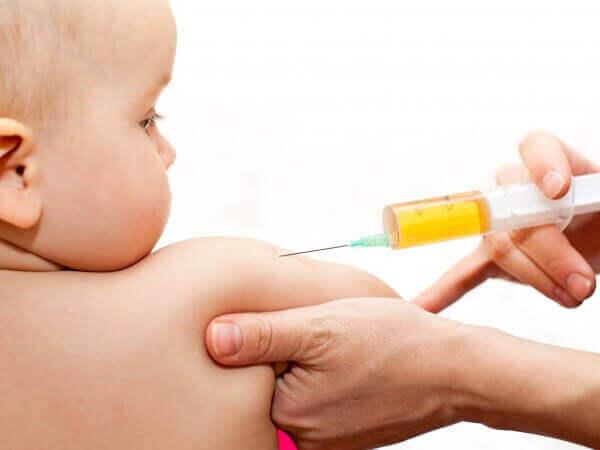 Typhoid Vaccine Schedule For Children