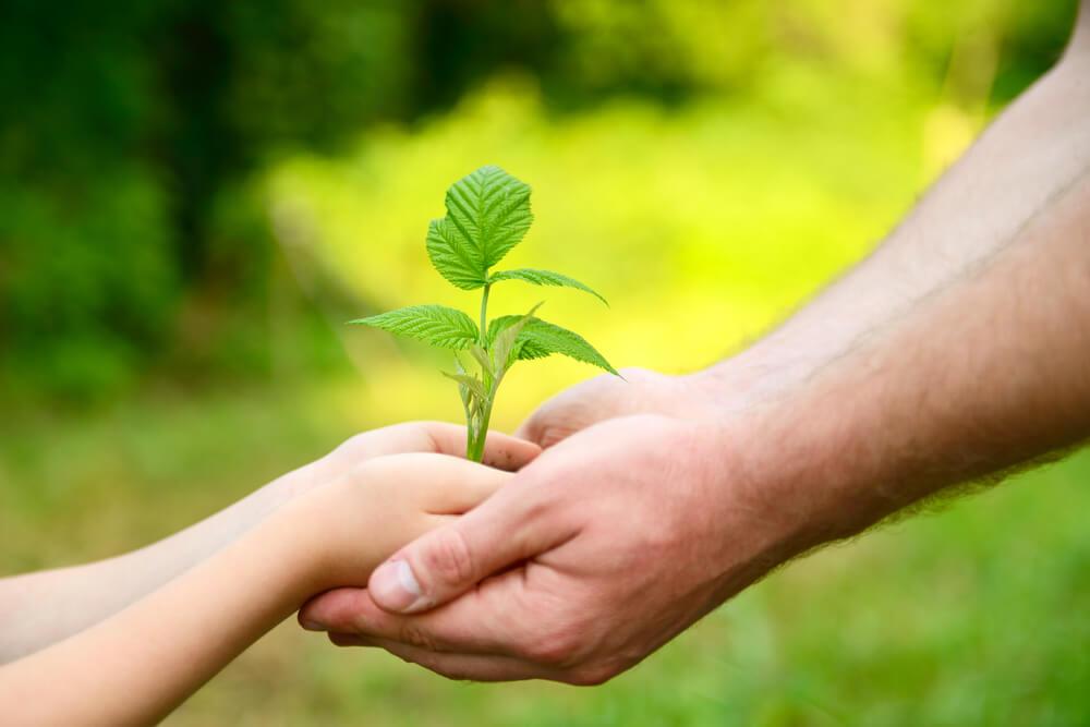 7 ways to teach your kid to be environmental friendly