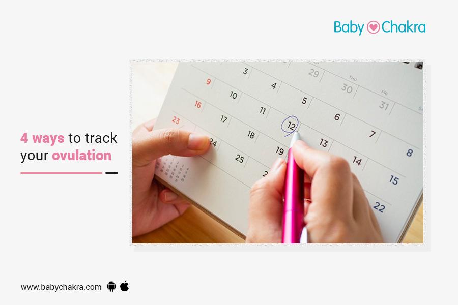 4 Ways To Track Your Ovulation
