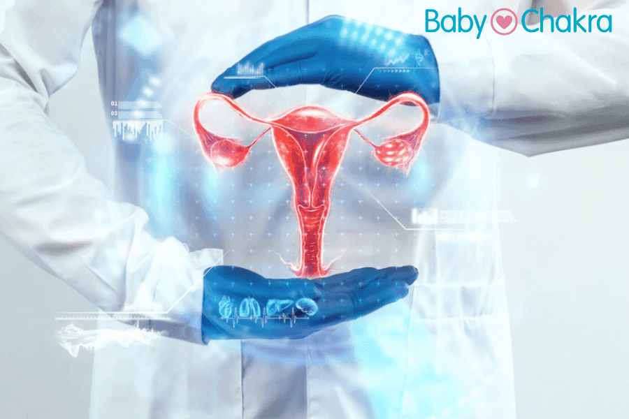 What Women Should Know About Their Ovaries