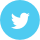 Twitter Logo