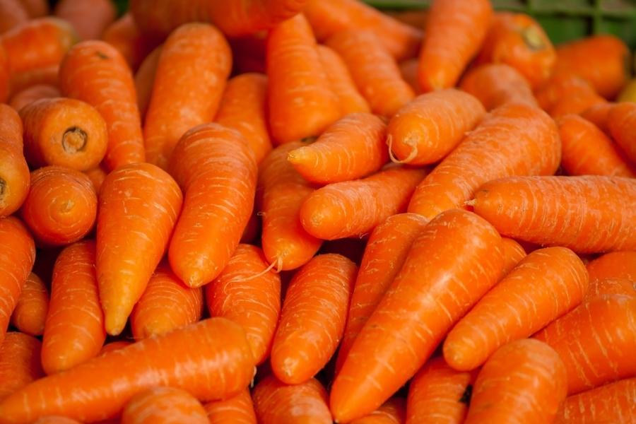 Baby Food: Carrot Bytes